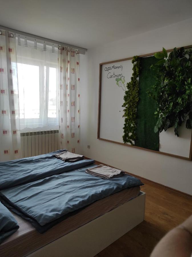 Apartamenty Centrum Валбжих Экстерьер фото